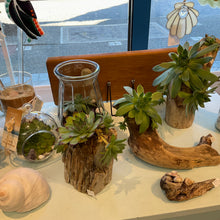 Load image into Gallery viewer, Mountain Top to Beach - Driftwood Succulent sculptures
