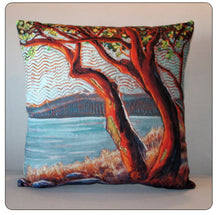 Load image into Gallery viewer, Janet McDonald Art - Pillow Covers
