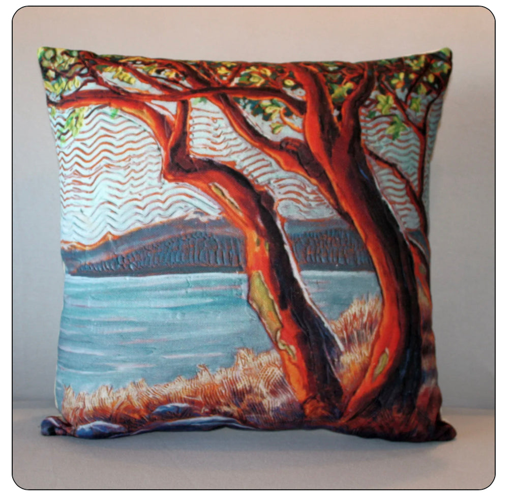 Janet McDonald Art - Pillow Covers