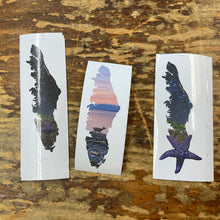 Load image into Gallery viewer, Salted Fish Studio -  SF- ArtCards / Postcards / Magnets/ Sticker
