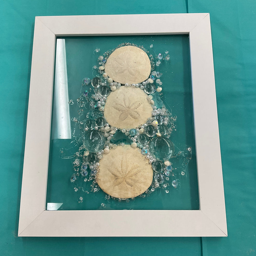 Mountain Top to Beach - Sand dollars on Glass with Frame