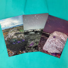 Load image into Gallery viewer, Salted Fish Studio -  ArtCards / Postcards / Magnets
