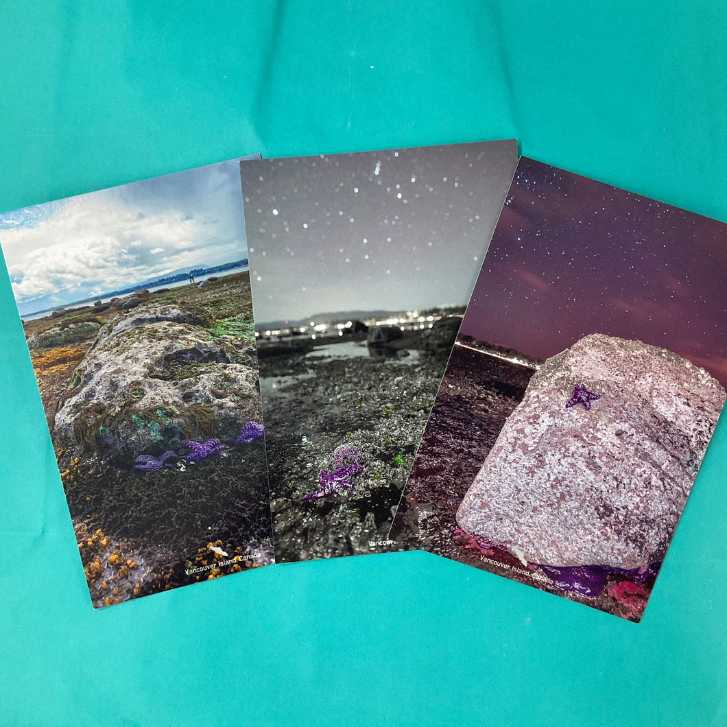 Salted Fish Studio -  ArtCards / Postcards / Magnets