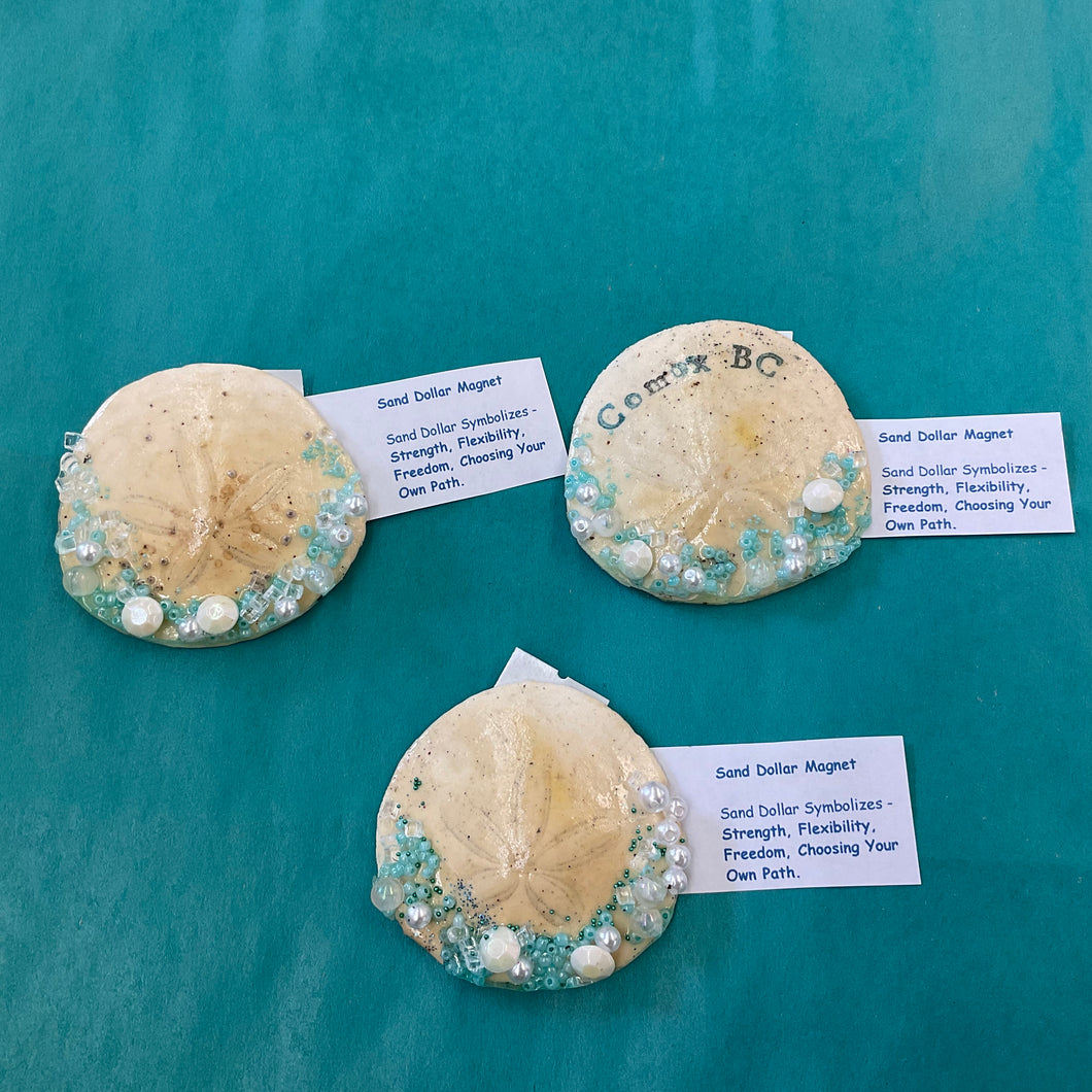 Mountain Top to Beach - Sand Dollar Magnets