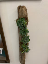 Load image into Gallery viewer, Mountain Top to Beach - Driftwood Succulent sculptures
